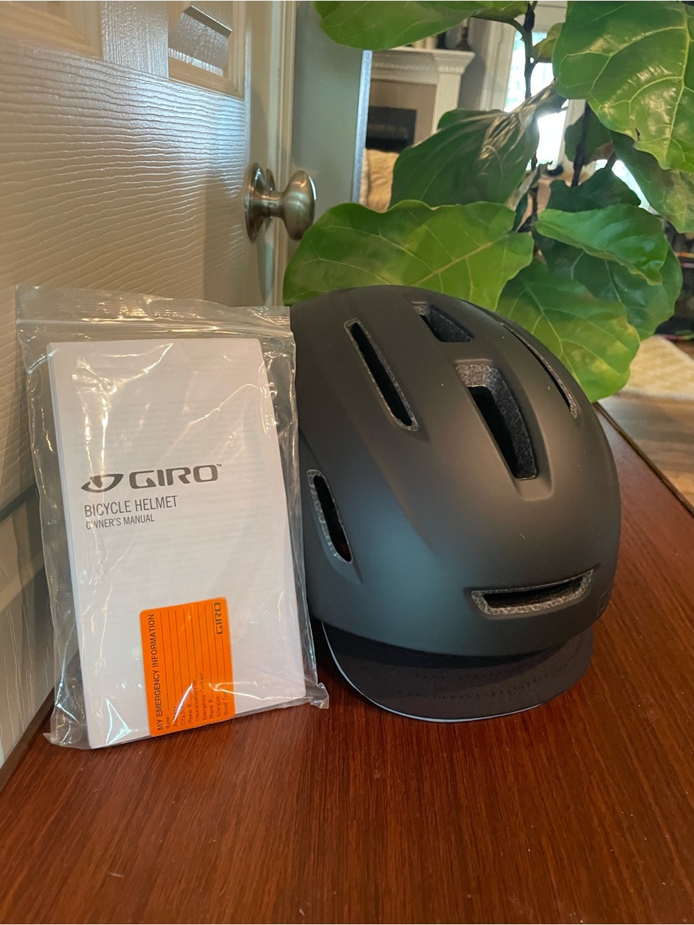 Giro Matte Black Commuter Bike Helmet